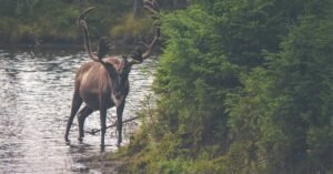 Read more about the article دليل الحج والعمرة الشامل: كل ما يحتاجه المسلم خطوة بخطوة