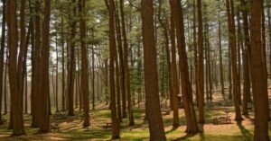 Read more about the article المغرب: من مراكش لفاس – الدليل الكامل لأجمل وجهة عربية
