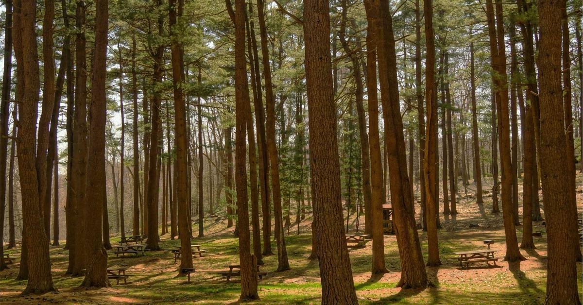 Read more about the article المغرب: من مراكش لفاس – الدليل الكامل لأجمل وجهة عربية