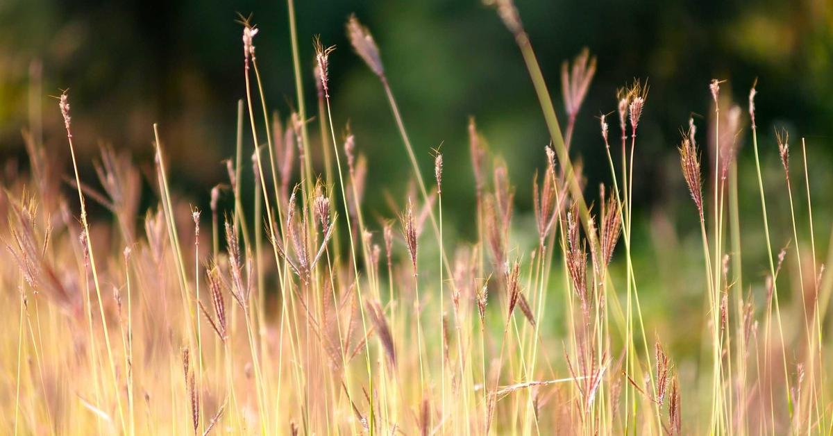 Read more about the article تونس: أكثر من مجرد قرطاج – دليل سياحي شامل